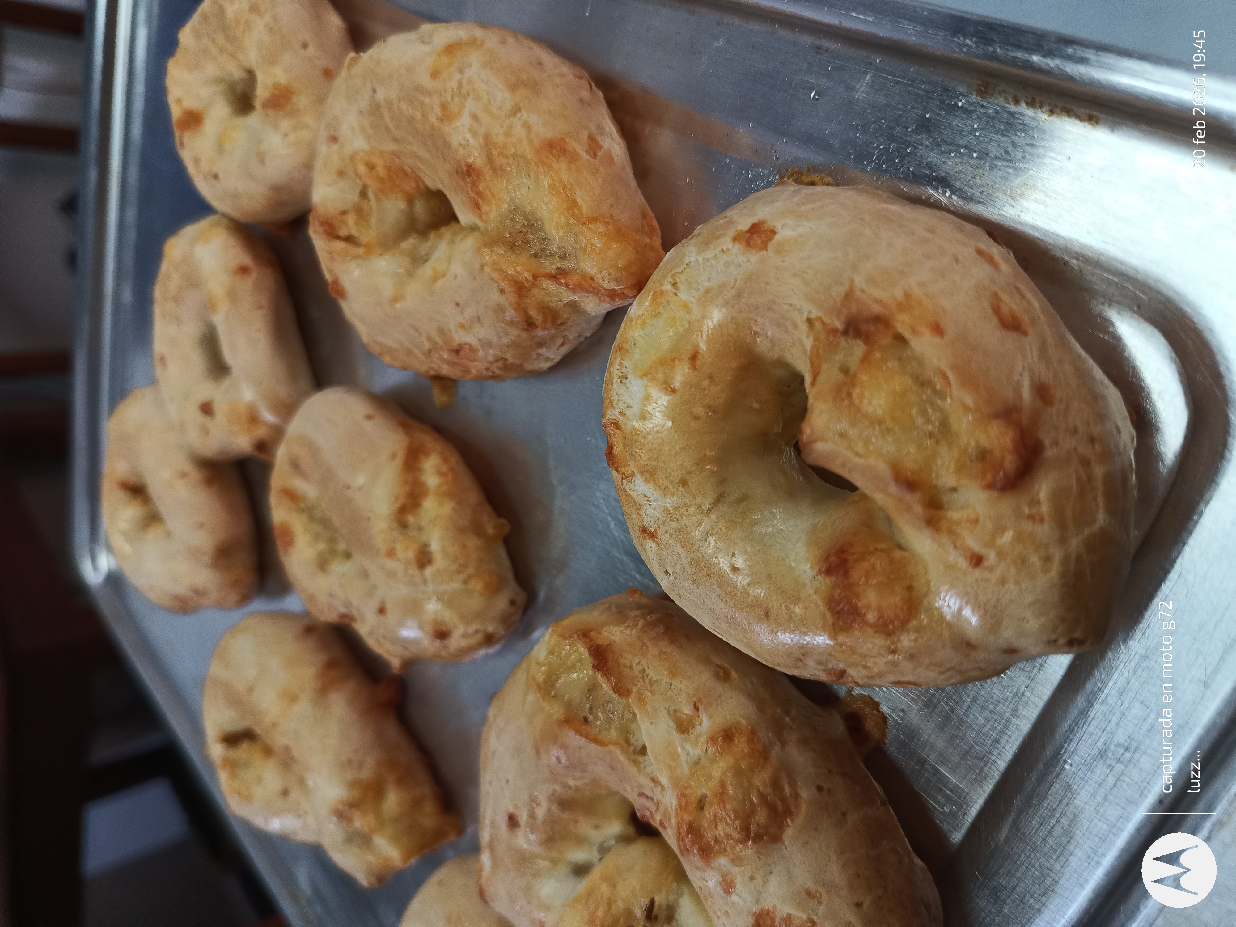 Chipa tradicional sin gluten PanFree